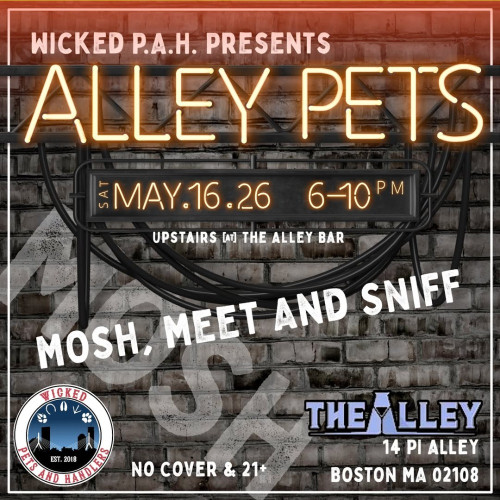 Flyer or graphic for the event Alley Pets