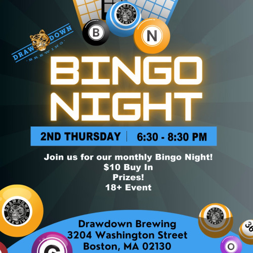 Flyer or graphic for the event BINGO