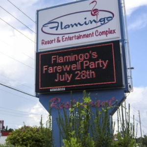 Image of the venue: Flamingo Resort