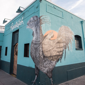 Image of the venue: RoosterFish