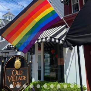 Image of the venue: Old Village Inn