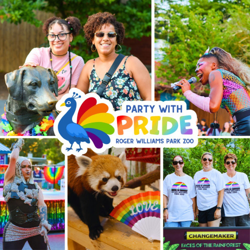 Party with Pride event flyer